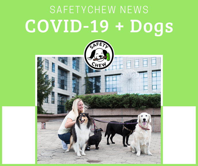 COVID-19 - How to Keep You & Your Pup Safe